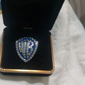 Warner Bros Blue and Silver Pin